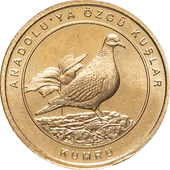 Kumru
